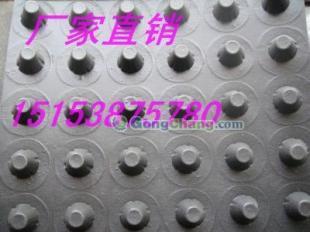 供應(yīng)西安地下車庫頂板排水板,西安塑料濾水板_建筑建材_世界工廠網(wǎng)中國產(chǎn)品信息庫