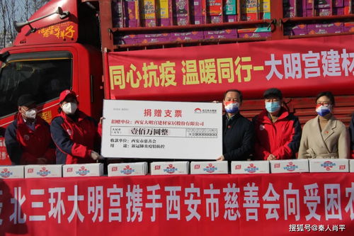 西安大明宮實業(yè) 西安大明宮建材家居通過西安市慈善會為抗疫捐贈